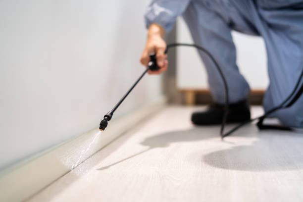 Licensed Fumigation Services service in Shelbyville, KY - Nex Pest Control