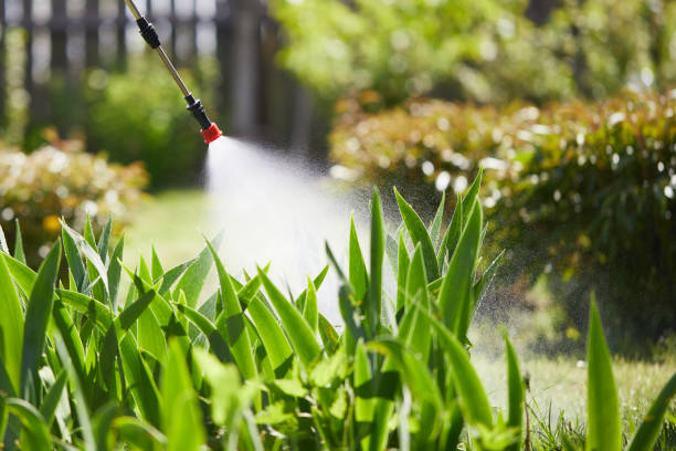 24/7 Emergency Fumigation Services experts in Shelbyville, KY