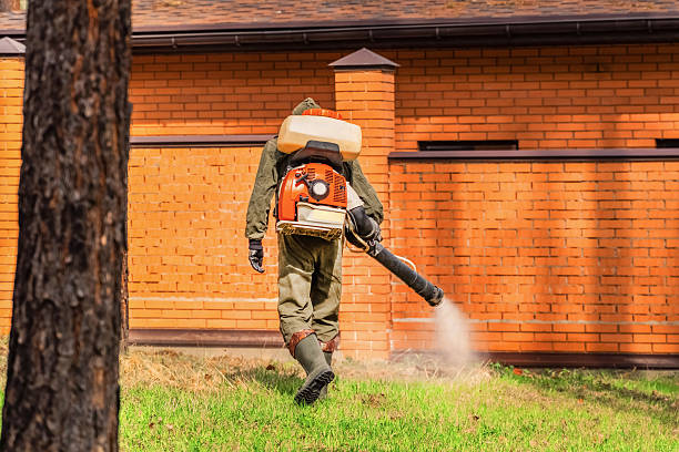 Trusted Termite Control service in Shelbyville, KY - Nex Pest Control